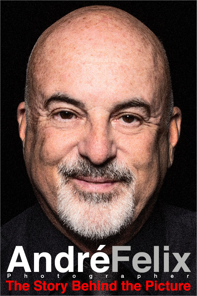 Andre Felix Book Cover image